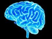 Brain Teasers Category Image Brain Teasers at LearningGames247.com