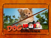 Play Dog Spot the Difference Dog Spot the Difference Game Online
