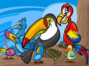 Exotic Birds Coloring Game Online