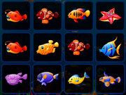 Fish Cards Match Game Online